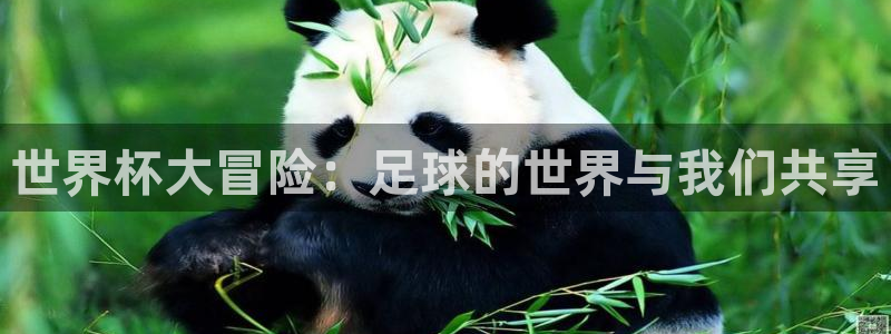 明升体育网